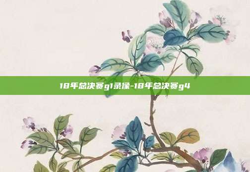 18年总决赛g1录像-18年总决赛g4