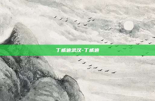 丁威迪武汉-丁威迪